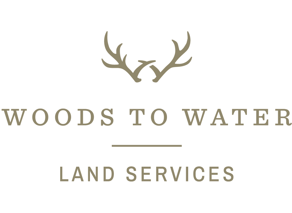woods to water real estate logo